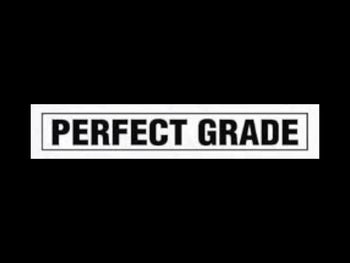 PG (Perfect Grade)